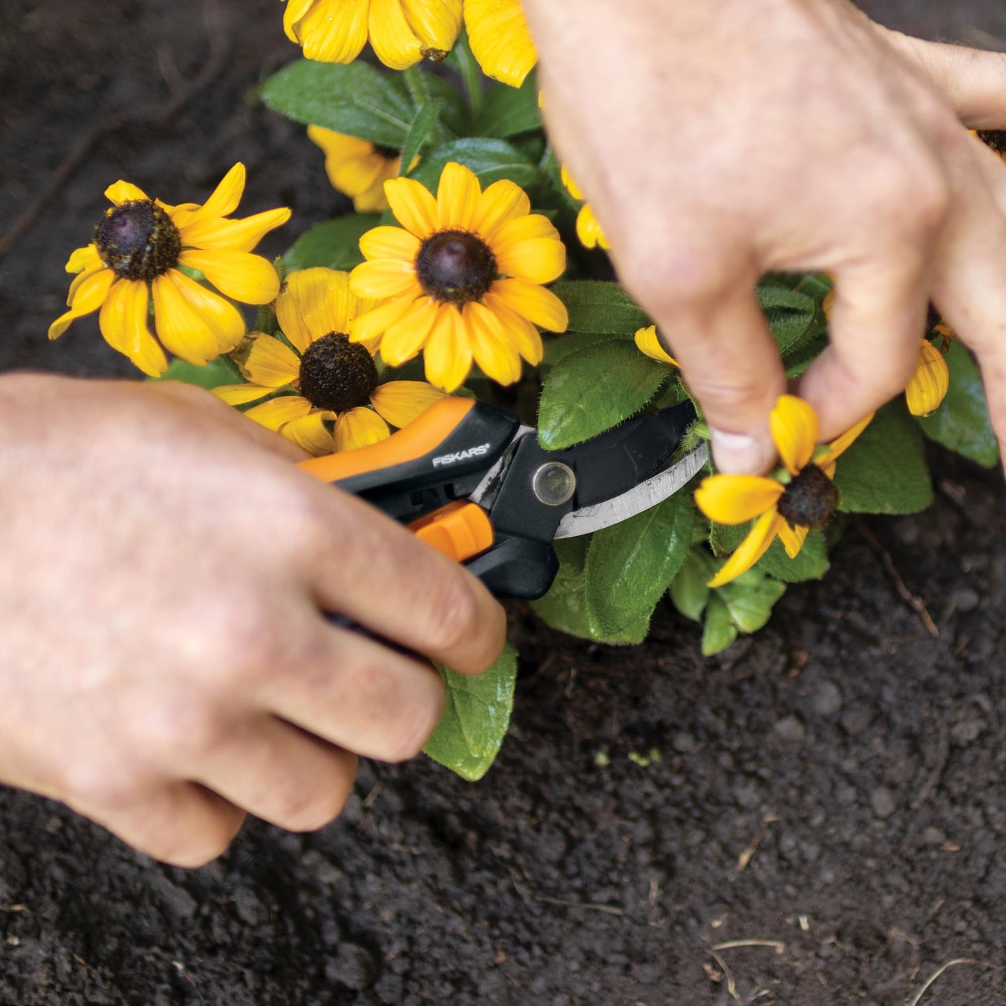 Fiskars 6" Pruning Scissors (2-Pack) for Flowers, Buds, Weeds and Small Plants, Garden Snips with Resin Resistant Nonstick Stainless Steel Blades, Gardening Trimmers with Comfortable Handle