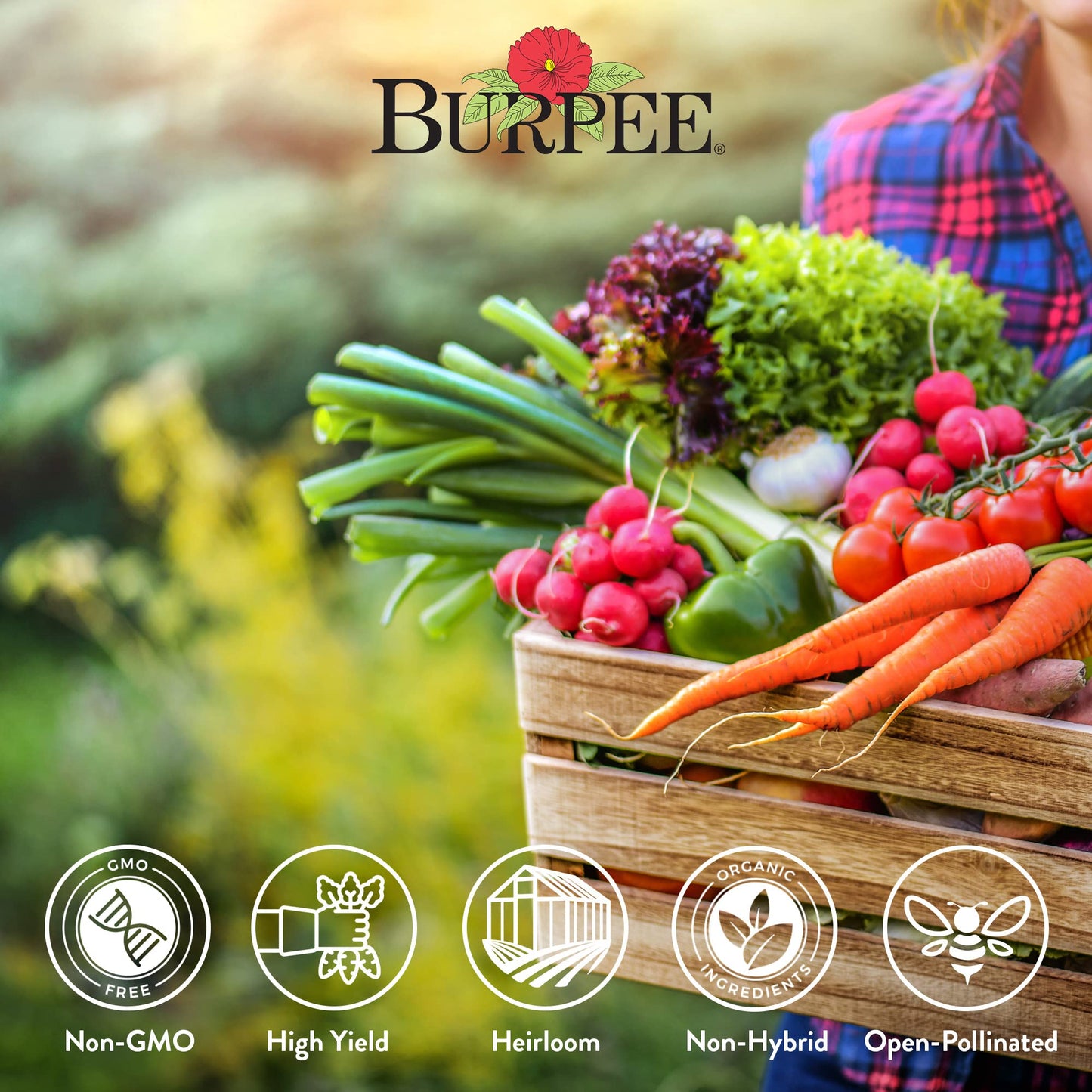 Burpee Culinary Classics Garden Collection 10 Packets of Non-GMO Chives, Cilantro, Basil, Sage, Thyme, Dill, Parsley, Chamomile, Marjoram & Oregano | Kitchen Herb Variety Pack, Seeds for Planting
