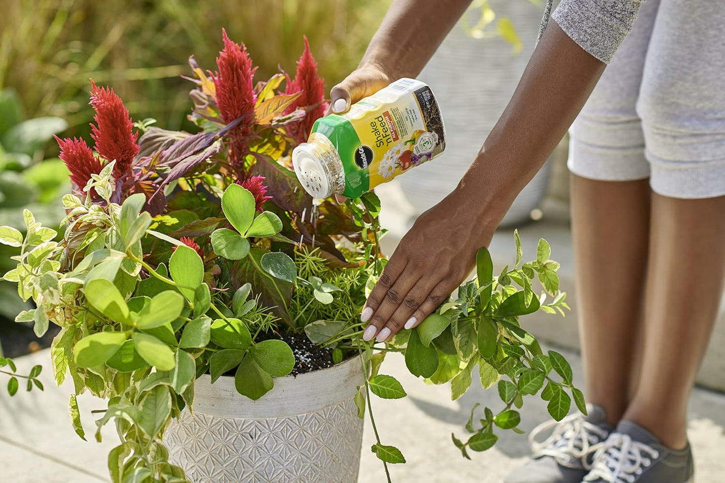 Miracle-Gro Shake 'N Feed All Purpose Plant Food, For In-Ground and Container Plants, Feeds for up to 3 Months, 4.5 lbs.