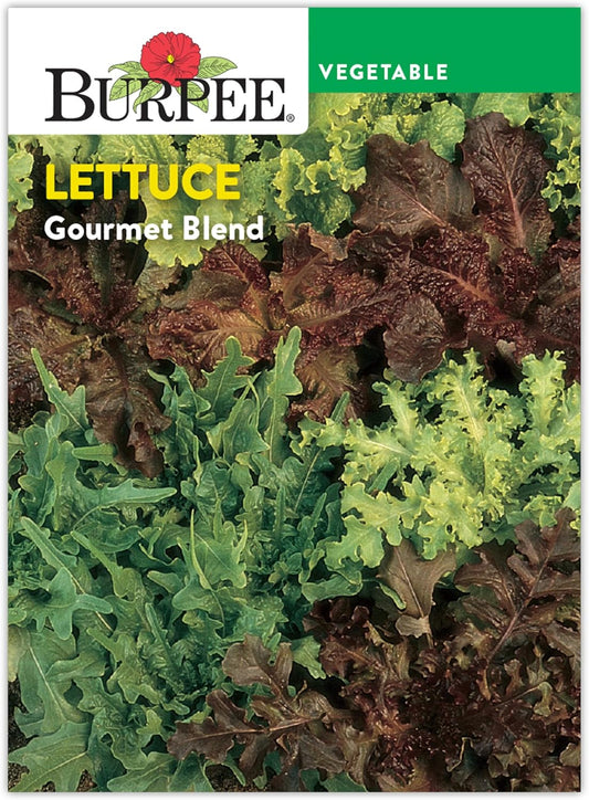 Burpee Gourmet Blend Lettuce Seeds, Non-GMO Green Leaf Vegetable for Planting - 680mg