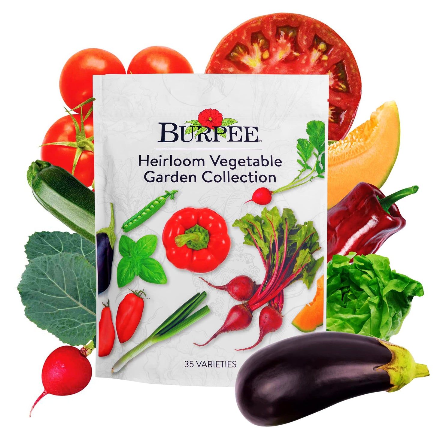 Burpee Culinary Classics Garden Collection 10 Packets of Non-GMO Chives, Cilantro, Basil, Sage, Thyme, Dill, Parsley, Chamomile, Marjoram & Oregano | Kitchen Herb Variety Pack, Seeds for Planting