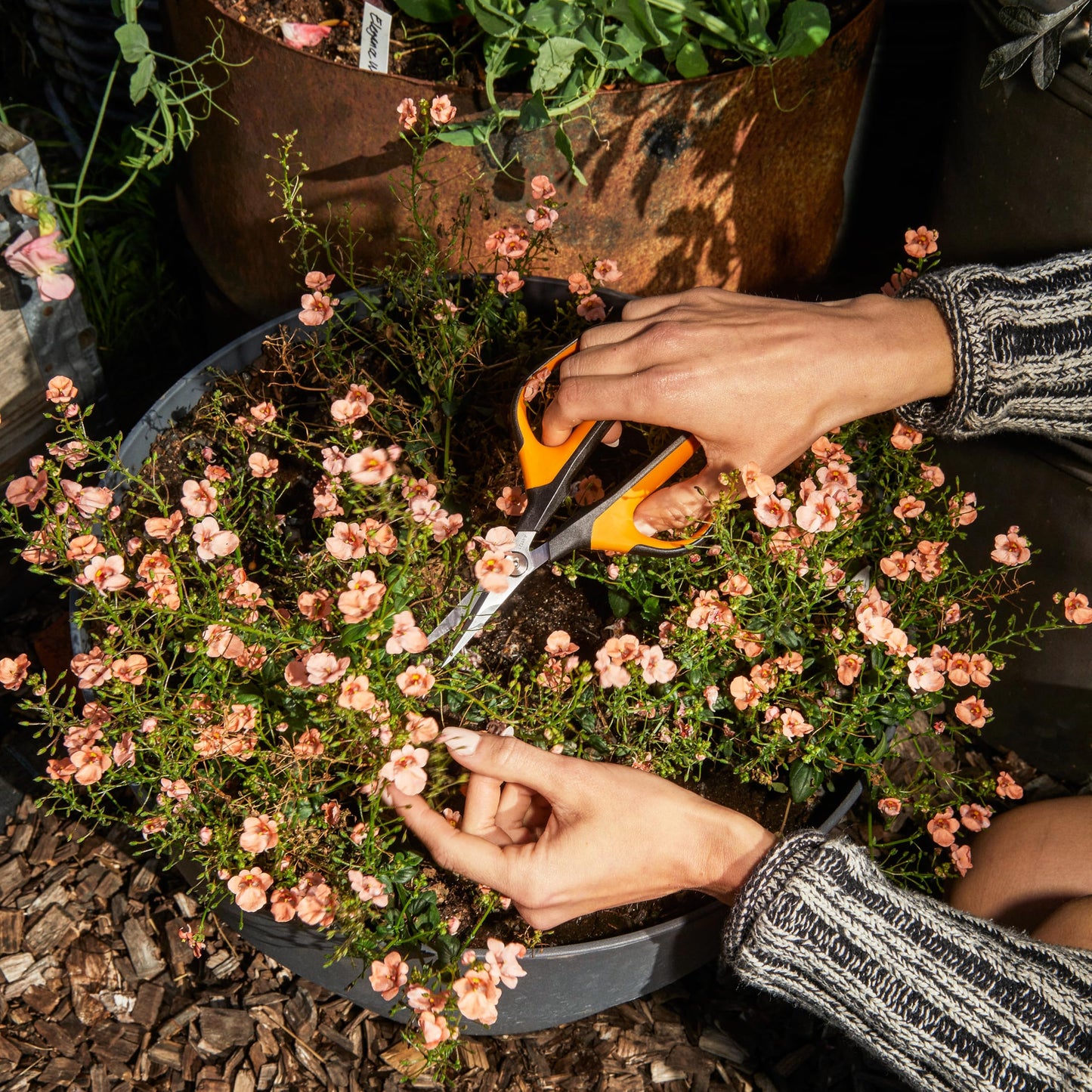Fiskars 6" Pruning Scissors (2-Pack) for Flowers, Buds, Weeds and Small Plants, Garden Snips with Resin Resistant Nonstick Stainless Steel Blades, Gardening Trimmers with Comfortable Handle