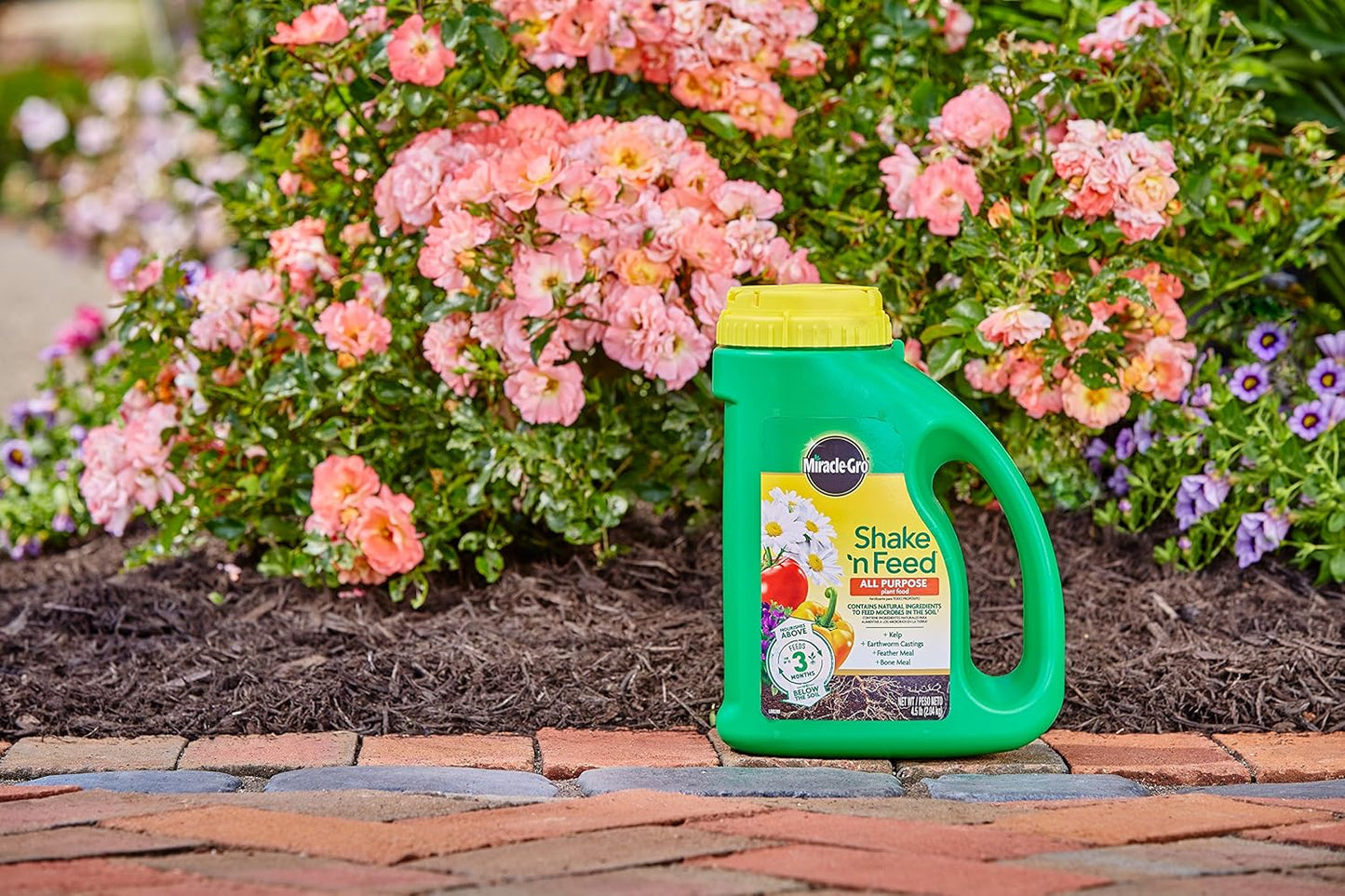 Miracle-Gro Shake 'N Feed All Purpose Plant Food, For In-Ground and Container Plants, Feeds for up to 3 Months, 4.5 lbs.