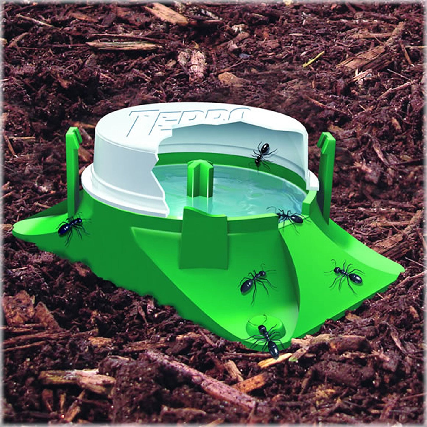 TERRO T1804-6 Outdoor Ready-to-Use Liquid Ant Bait Killer and Trap - Kills Common Household Ants - 4 Bait Stations