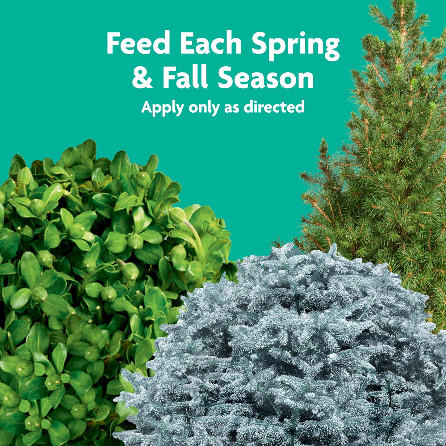 Miracle-Gro Fruit & Citrus Plant Food Spikes