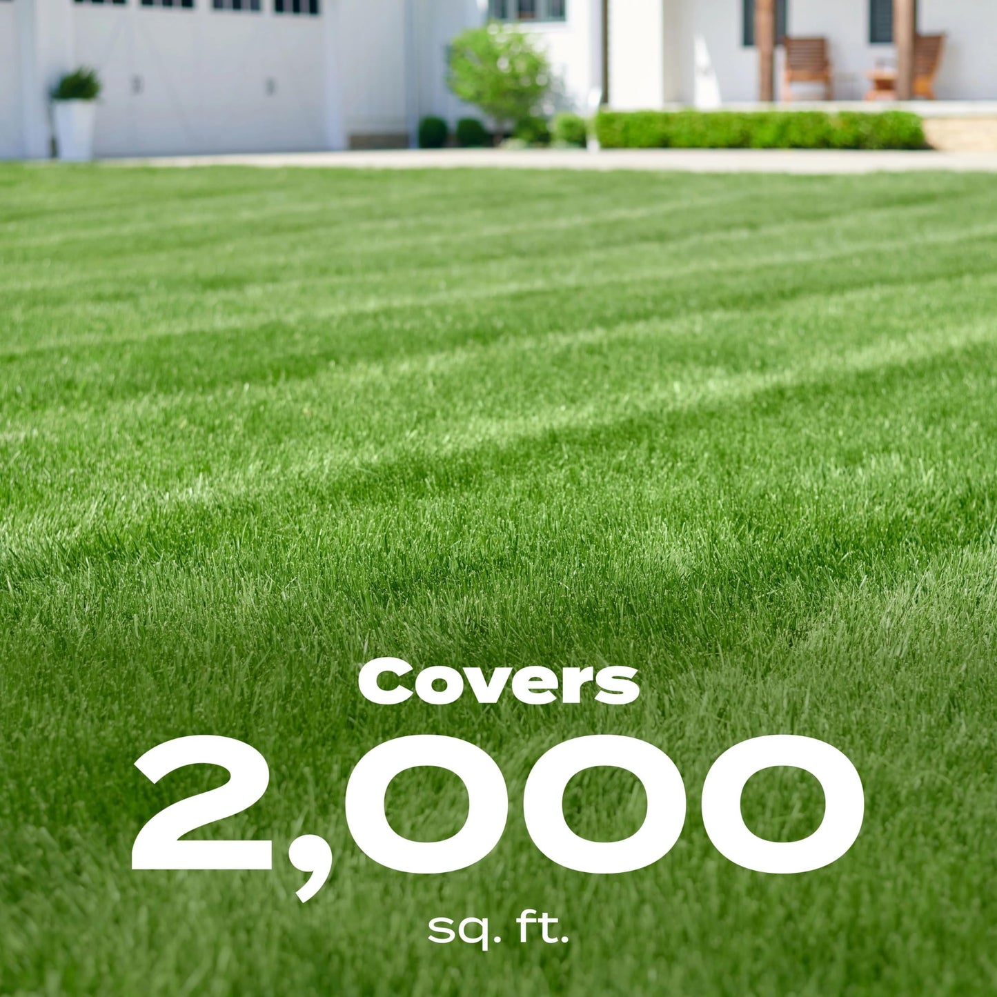 Scotts Green Max Lawn Food, Lawn Fertilizer Plus Iron Supplement for Greener Grass in 3 Days, 5,000 sq. ft., 16.67 lbs.